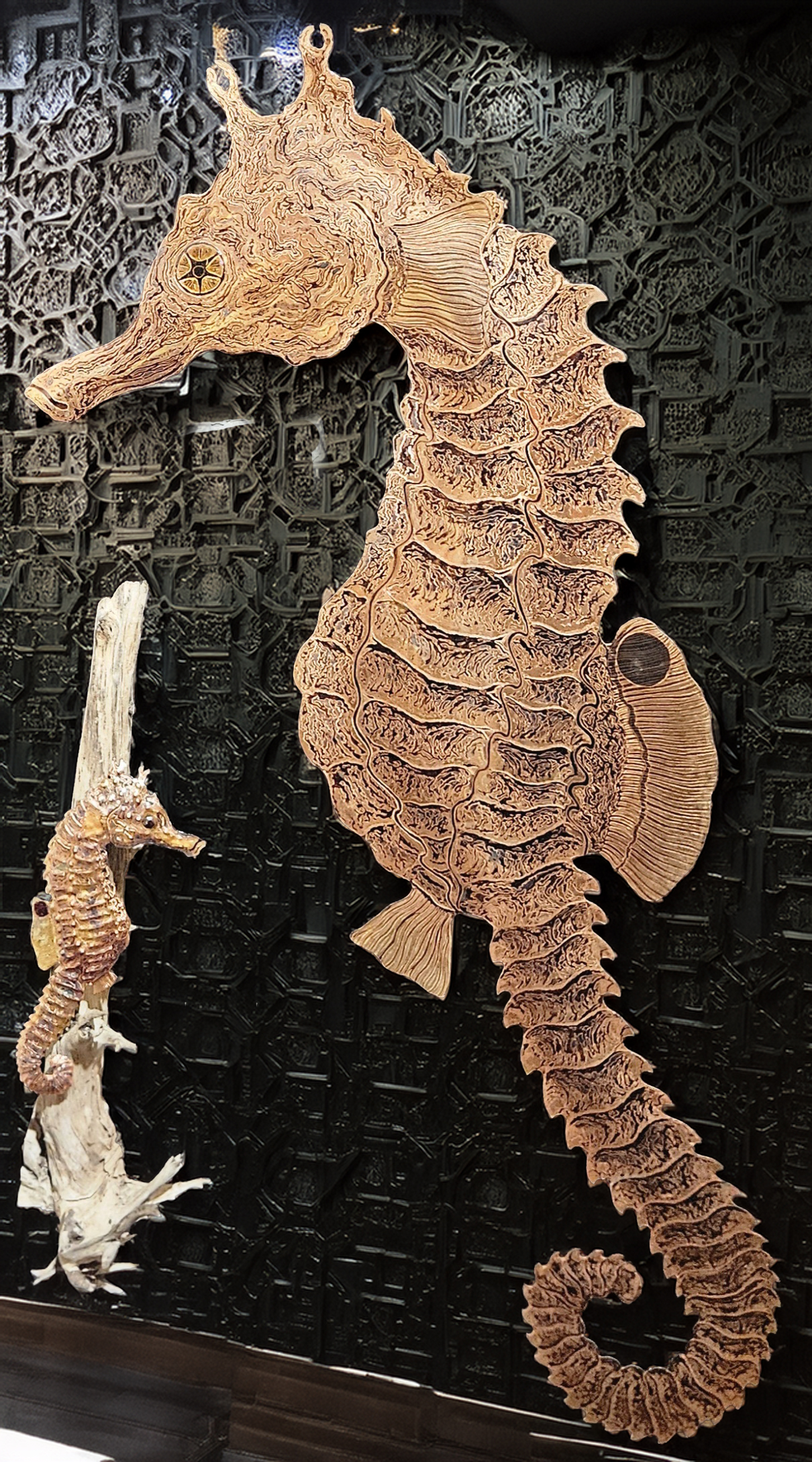 1748033345-COPPER SEAHORSE